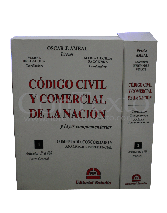 Codigo Civil y Comercial de la Nacion comentado Tomo 1 rust