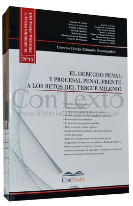 El derecho penal y procesal penal frente a los retos del tercer milenio n°13